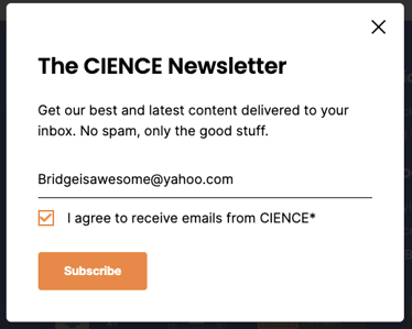 CTA button example to subscribe for a Newsletter
